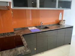 Sant Ritz (D13), Condominium #565615341
